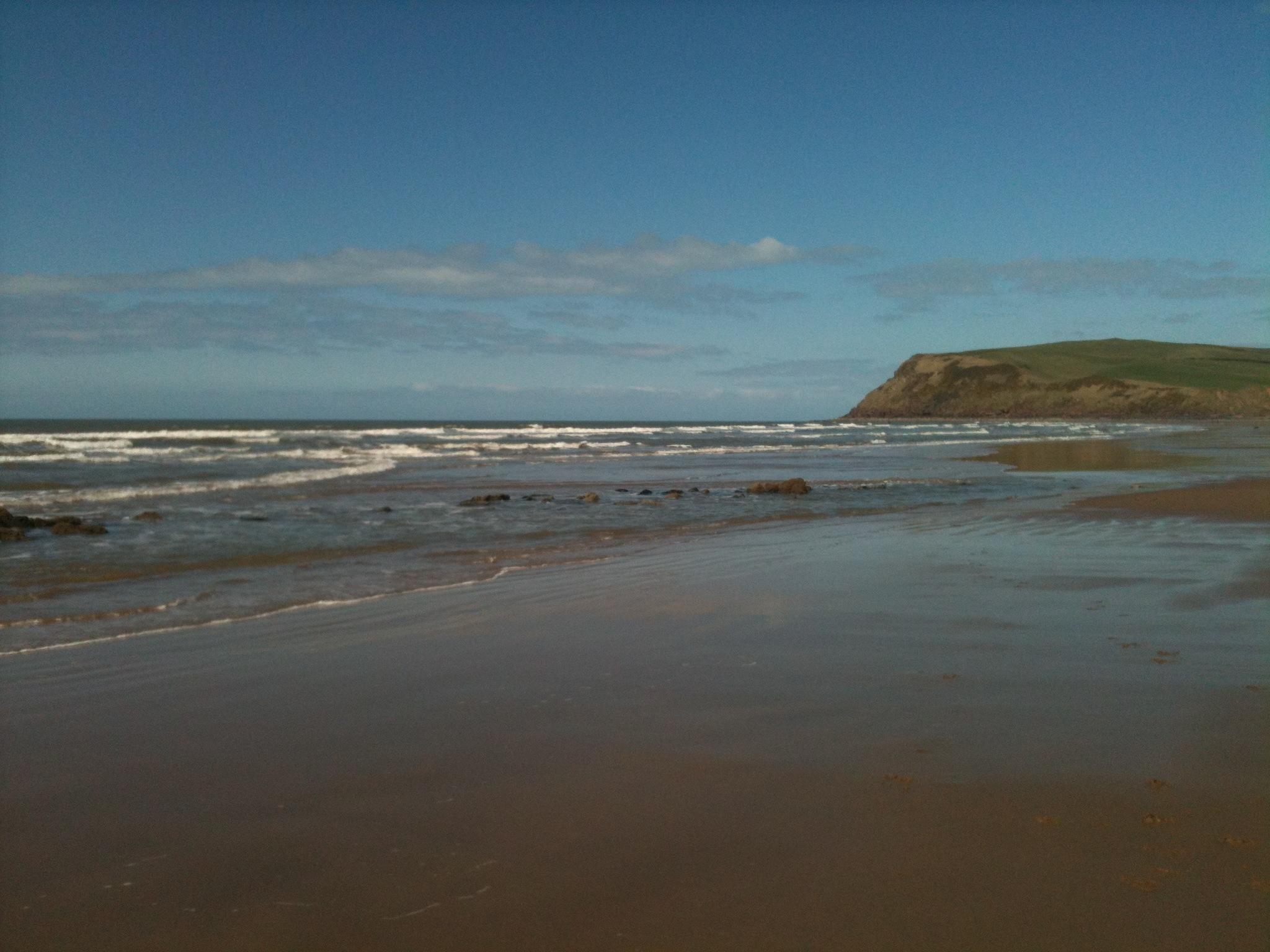 st bees head